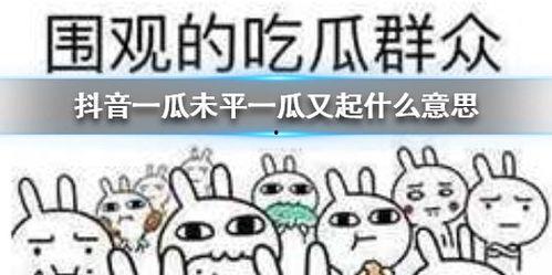 瓜老师 吃瓜抖音,揭秘娱乐圈幕后故事